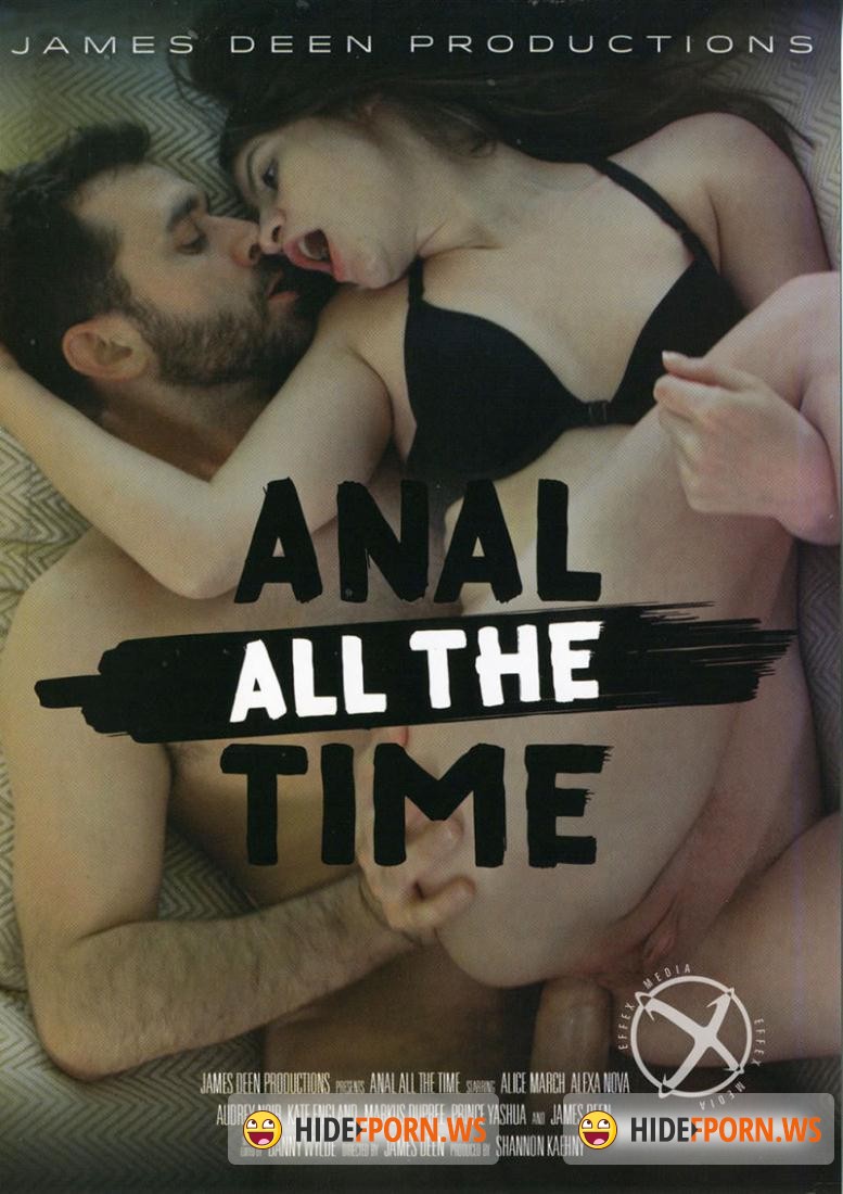 Anal All The Time [DVDRip]