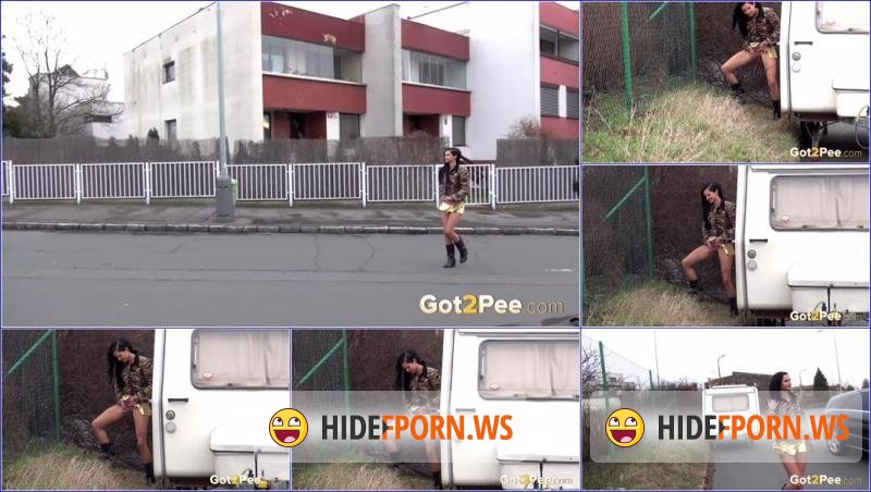 Got2Pee.com - Unknown - Video-tiger-print-pee [FullHD 1080p]